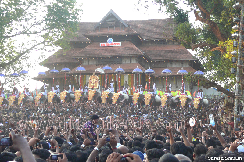 thrissur-pooram-2011- (78)